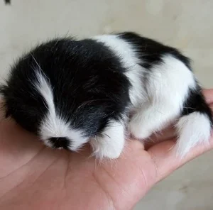 Cachorro deitado, preto e branco, modelo rígido de 10x7cm, feito de polietileno e pele verdadeira, artesanato em miniatura, figuras e brinquedos para decoração de casa, presente a2840.