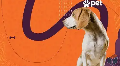 Produtos Pet em geral